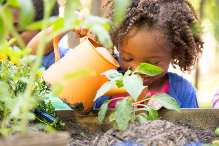 6 Steps to a Sensory-Friendly Backyard - Sensory Friendly Solutions